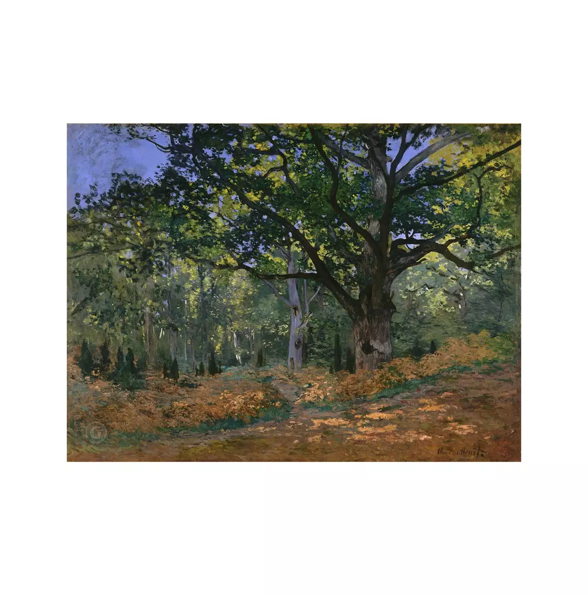 Before Image