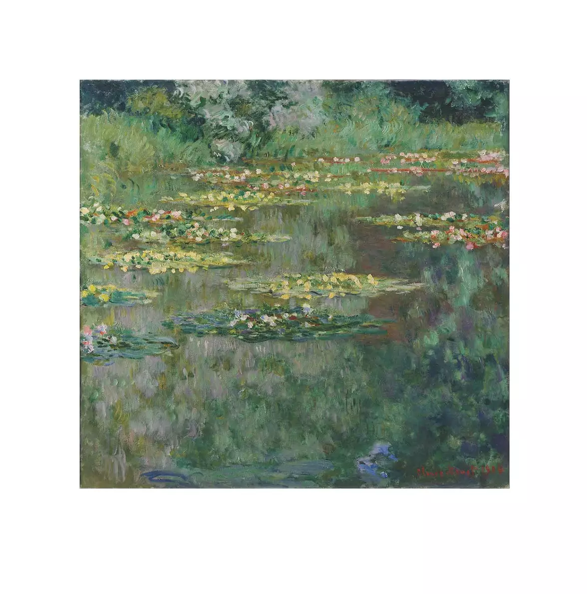 Before Image